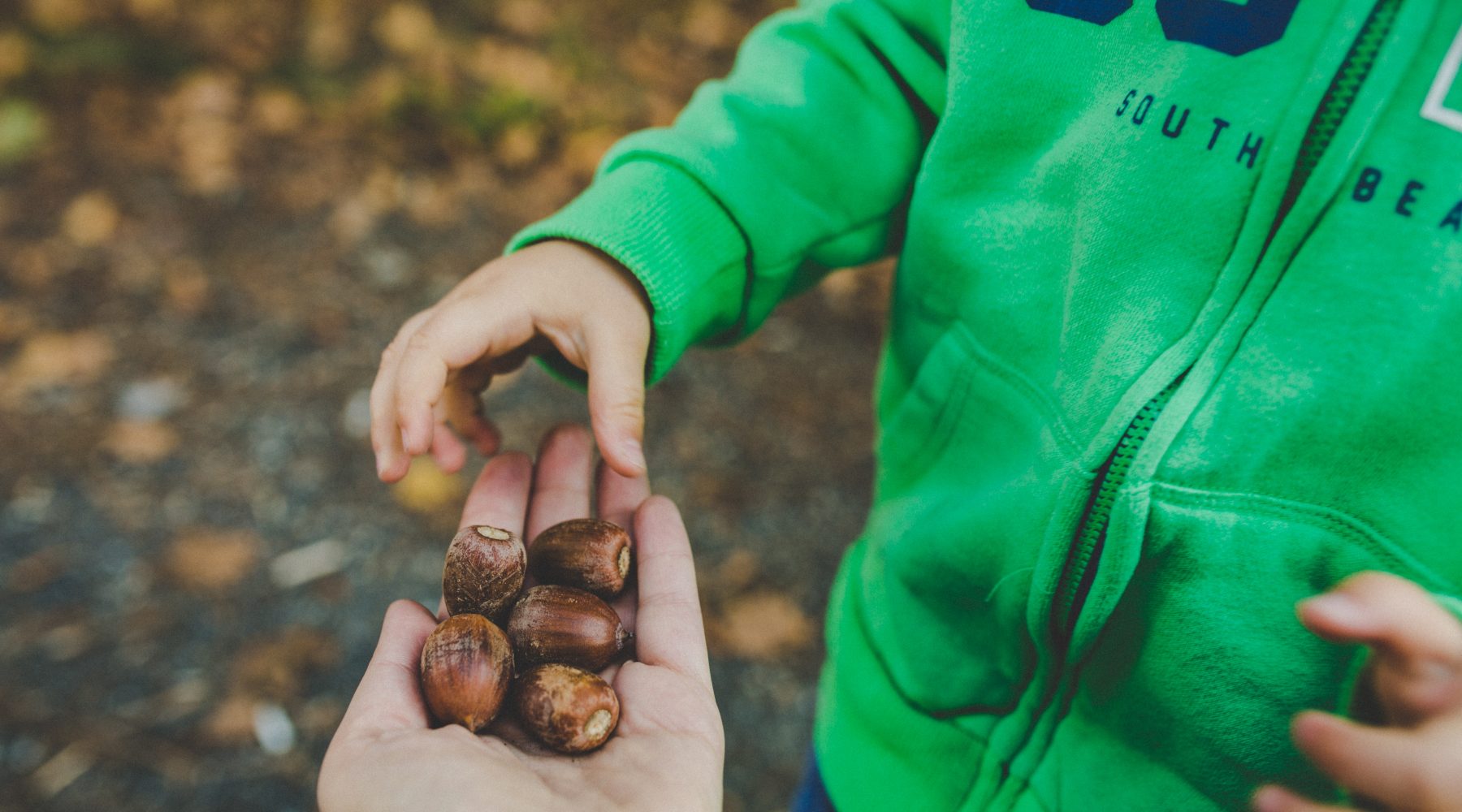 Kids playing with nuts