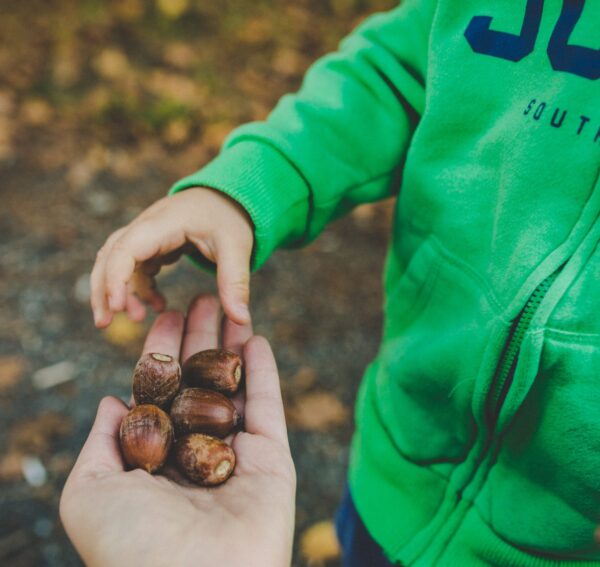 Kids playing with nuts