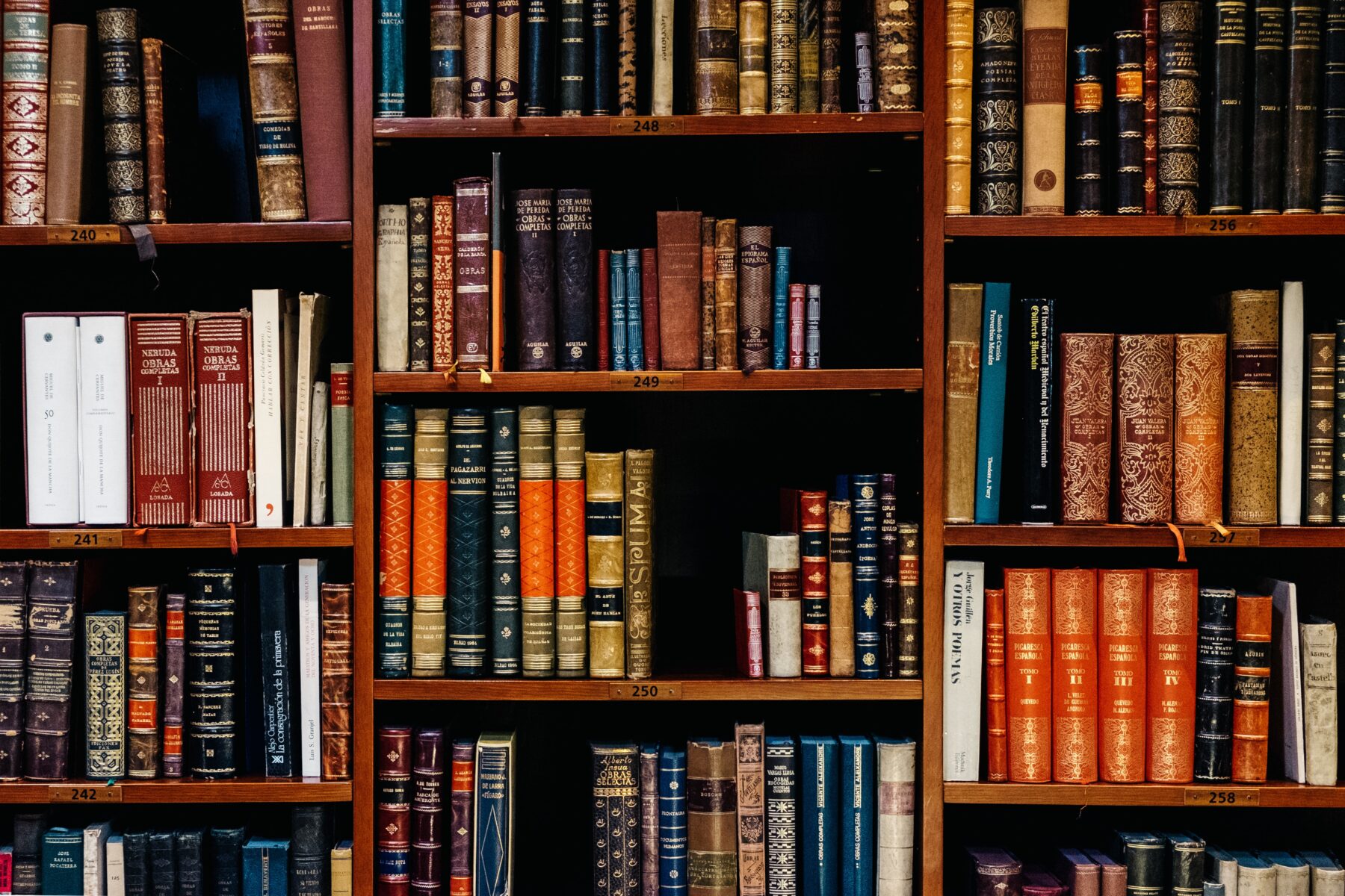 Bookcase in EREA library