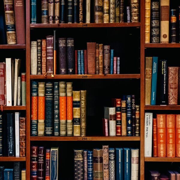 Bookcase in EREA library